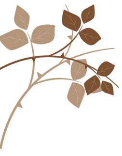 tema