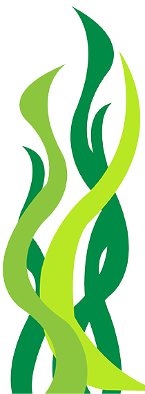 tema